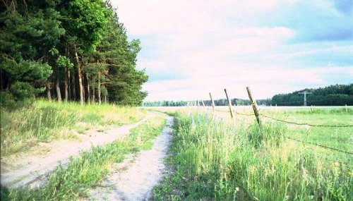 Ferienhaus Weitblick - Photo 3