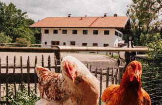 Chalet Zugspitze, Kamin, Tiere - Foto 36