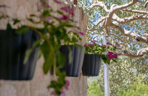 Peacefull getaway island Hvar! - Photo 32