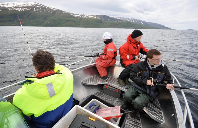 Topcamp Havblikk - Helgeland - Photo 56