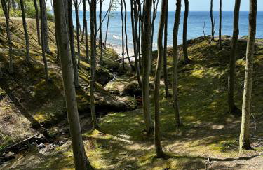 Apartament 9 Nina - Dębina - Foto 62