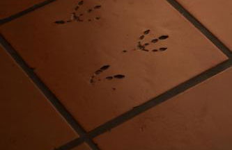 Joshua Tree House of Mercury - Foto 74