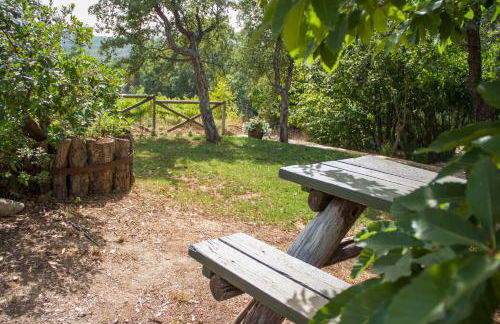 La Simona Casa Rural - Foto 9