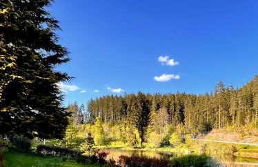 HAUS AM SEE - Natur Pur - Foto 23