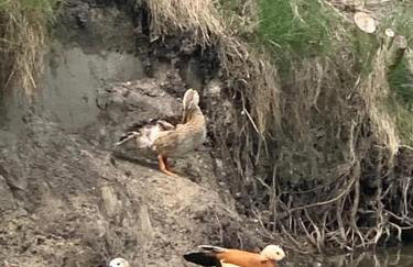 Agro na Wapniarni - Foto 79