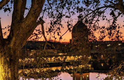 Le Lombard : Panorama sur la Garonne - Photo 2