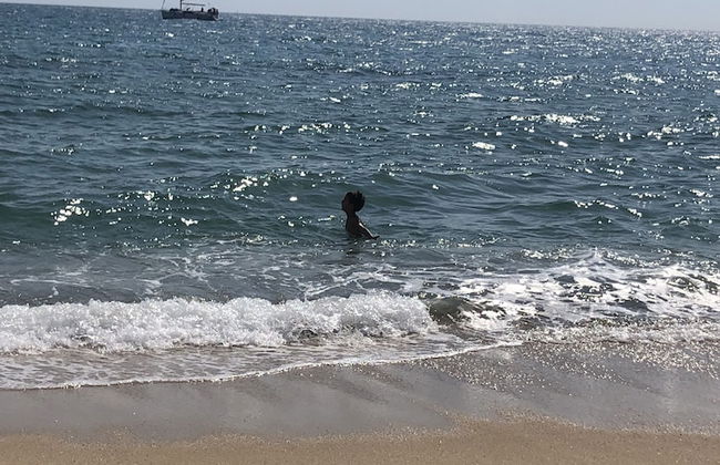 Vilamarlux II - Photo 20