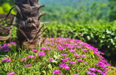 Magical Villa Glavini with privacy & stunning panoramic views - Foto 56