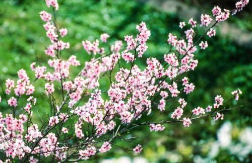 Apartment Perle-Lollipop by Interhome - Foto 21