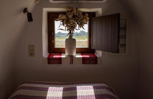 Mitatos "Matthew" - Foto 20