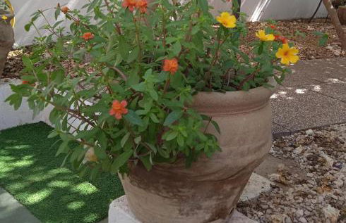 Guest House Oleandro - Foto 62