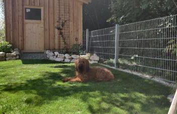 Ferienwohnung Ponlach - Foto 8