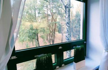 Szmaragdowy Apartament nad Zalewem - Foto 6