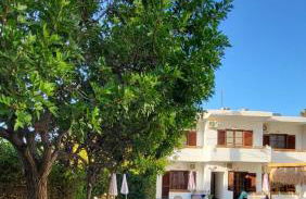 Tree of Life Art Hotel - Foto 47