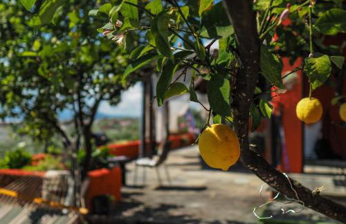 Katina's Farm House - Foto 18