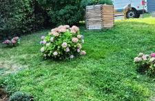 Ferienwohnung Terrassenzeit - Foto 13