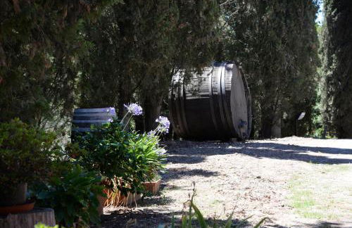 Agriturismo San Gregorio - Foto 77