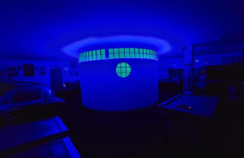 The Starlight Tower Manor, River, Arcades, Observatory, Theater - Foto 57