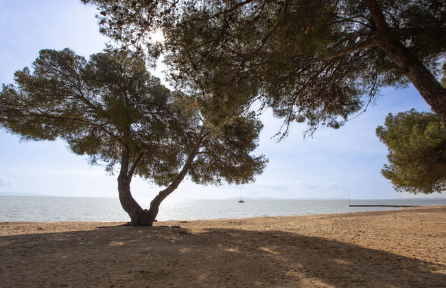 Odalys Référence Les Océanides - Foto 17