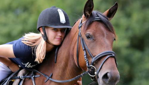 SAS Le Hameau des Grilles - Foto 4