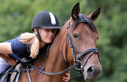 SAS Le Hameau des Grilles - Foto 4