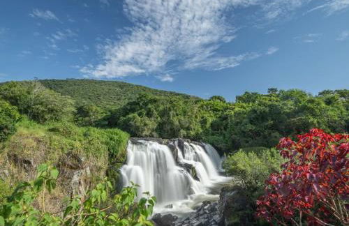 GO 937 - Studio Central, faça tudo a pé - Foto 13