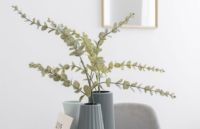 Le Concorde - Foto 24