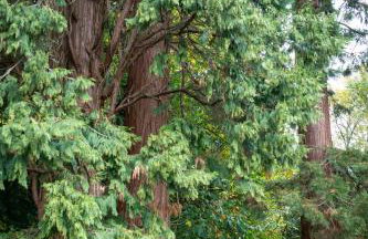 Amos Lodge Deluxe Accommodation - Photo 33