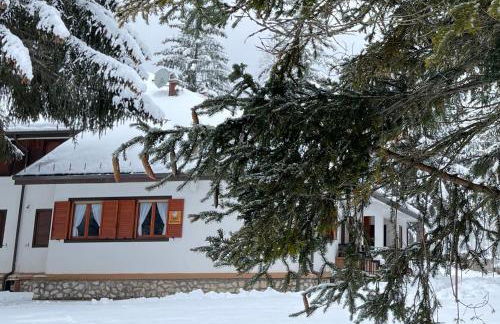 Chalet dell'Orso - Foto 4