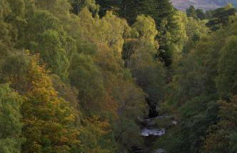 Rosemount Bothy - Highland Cottage - Foto 60