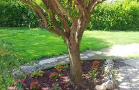 Spacious Apartment in Villa Campanile with Private Pool - Foto 15