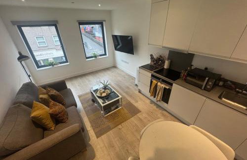 JVL Nice Cosy 1BR Flat Purley, London - Foto 24