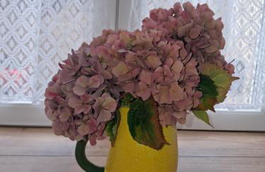 "Men Coz" maison rénovée au calme 6kms de la mer - Foto 38