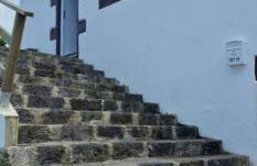 Pura Vida - Photo 31