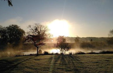 Tiny House in Wonderland - Foto 41