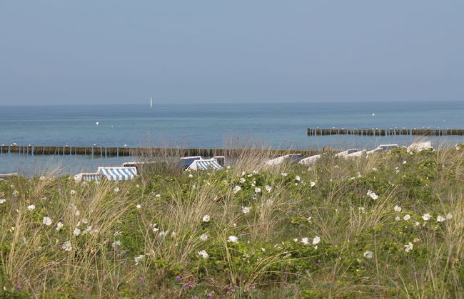 Exklusiver Bungalow mit Terrasse in Rerik - Foto 33
