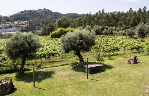 Quinta Do Meira - Foto 31