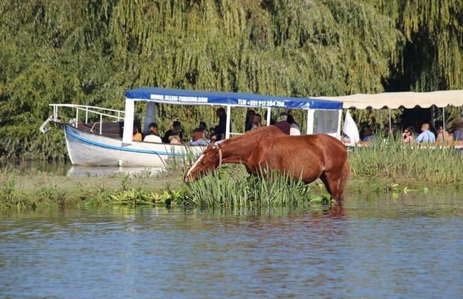 Barco Casa Ollem - Photo 12