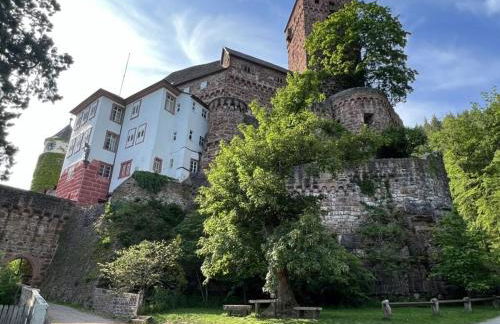 Holiday Apartment Schlossblick 2 - Foto 50