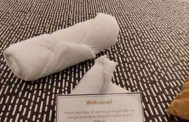 Nancy Vieille Ville Stanislas - Foto 29