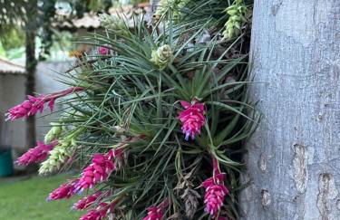 Casa Sitio Região dos Lagos 1200m2 terreno- S Pedro DAldeia - Photo 18