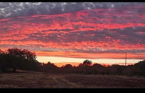 Casa 3 limões - Foto 51