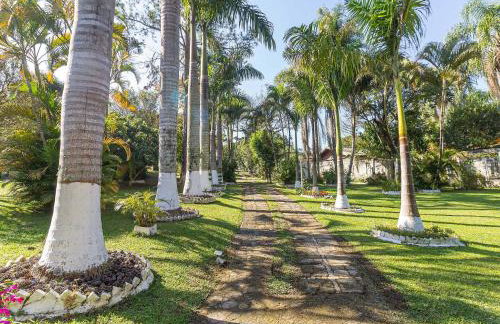 Piscina, jardim, área gourmet e vista arborizada - Foto 4