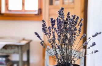 Landhaus Fröbel - Foto 28