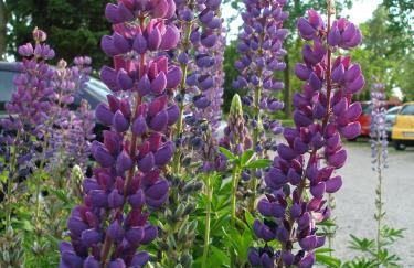 Aparthotel Grabner - Foto 43