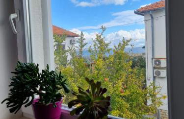 Apartmani Lenka - Foto 16