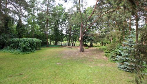 Domek nad Narwią - Foto 5, Garden view