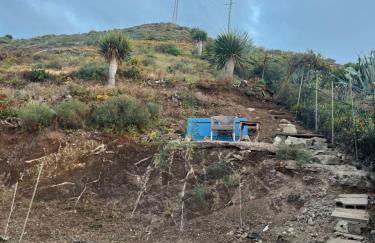 Estudios kylie y Evelyn - Foto 35