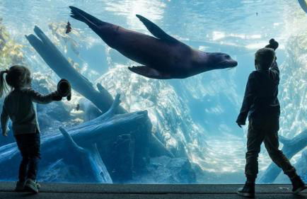 Historic Omaha Manor DT Near Zoo and Pool Table - Foto 58