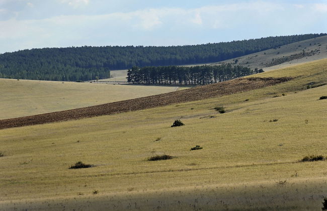Domaine Aigoual Cévennes - Foto 39